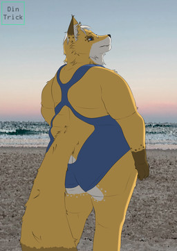 anthro beach big_butt blue_eyes butt claws clothing eyewear femboy fur glasses hair male nails obese one-piece_swimsuit orange_body overweight overweight_anthro overweight_male sand sea solo sunset swimwear tail teeth water white_hair dintrick canid canine fox mammal absurd_res hi_res