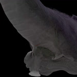 bodily_fluids butt egg egg_play feet female feral oviposition paws penetration prehensile_feet solo toes cugaculoproductions capcom monster_hunter flying_wyvern nargacuga 1:1 3d_(artwork) animated blender_(artwork) digital_media_(artwork) hi_res no_sound short_playtime webm