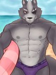 abs anthro areola beach biped bulge cheek_tuft clothed clothing eye_patch eyewear facial_tuft front_view fur grey_body grey_fur inflatable inner_tube logo looking_at_viewer male muscular muscular_anthro muscular_male narrowed_eyes navel nipples outside pecs red_eyes sand seductive smile solo speedo speedo_only standing swimwear topless tuft renuz nintendo star_fox wolf_o'donnell canid canine canis mammal wolf 2023 3:4 artist_logo artist_name colored half-length_portrait hi_res portrait