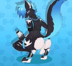 anthro athletic_wear blue_hair blue_penis bottle butt container fluffy fluffy_tail genitals hair leg_tattoo lustful_gaze male penis power_bottom smile smiling_at_viewer smirk smirking_at_viewer solo submissive tail tattoo water_bottle white_butt cutefckngbunny alexthedogkin dogkin hi_res