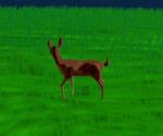 female feral grass jumping plant quadruped running solo felifan deer mammal 3d_(artwork) 3d_animation 6:5 animated better_version_at_source digital_media_(artwork) loop low_res short_playtime