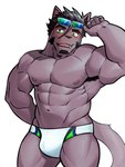 abs anthro armpit_hair biceps body_hair bulge clothing eyewear eyewear_on_head facial_hair green_eyes male muscular muscular_anthro muscular_male navel nipples pecs solo speedo sunglasses sunglasses_on_head swimwear white_clothing white_speedo white_swimwear wolfmanwilk lifewonders live_a_hero tsuneaki domestic_cat felid feline felis mammal 3:4 hi_res