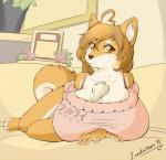 ahoge amber_eyes anthro anthrofied big_breasts breasts chest_tuft clothed clothing female female_anthro fur hair huge_breasts inside kemono long_hair looking_at_viewer lying solo sweater tan_body tan_fur topwear tuft leonkatlovre dogelore doge canid canine canis domestic_dog mammal shiba_inu spitz 2014 digital_media_(artwork) meme