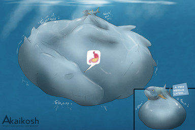 after_vore ambiguous_gender belly belly_markings big_belly blue_background blue_belly digestion feral fish_tail huge_belly hyper hyper_belly markings rumbling_stomach simple_background tail text underwater vore water yellow_tail akaikosh mythology aquatic dragon fish mythological_creature mythological_scalie scalie 2025 3:2 english_text