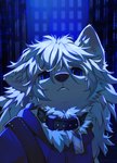 ambiguous_gender anthro blue_eyes clothed clothing collar collar_tag fur hair looking_at_viewer solo white_body white_fur hioshiru canid canine canis mammal wolf 2023 digital_media_(artwork)