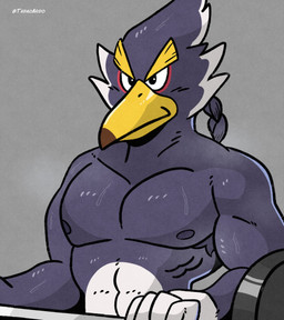 abs anthro armpit_hair beak biceps black_eyes bodily_fluids body_hair braided_hair braided_ponytail exercise hair holding_barbell holding_object male muscular muscular_anthro muscular_male nipples pecs ponytail solo steam sweat weightlifting workout yellow_beak tadaoardo breath_of_the_wild nintendo the_legend_of_zelda revali avian bird rito absurd_res hi_res