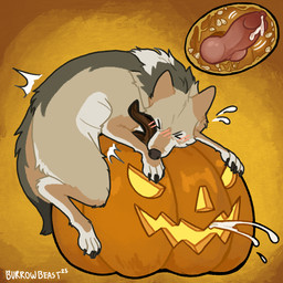 anatomically_correct anatomically_correct_genitalia animal_genitalia animal_penis bodily_fluids canine_genitalia canine_penis cum cum_in_pumpkin ejaculation erection feral food fruit genital_fluids genitals humping improvised_sex_toy knot knotted_penis knotting male masturbation object_humping orgasm penetration penile penile_masturbation penile_penetration penis plant pumpkin pumpkin_fucking solo puphuffs canid canine canis coyote mammal 1:1 hi_res