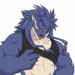 abs anthro black_nose blue_body blue_fur blue_hair blush clothed clothing clothing_lift countershading fur hair male muscular muscular_anthro muscular_male shirt shirt_lift simple_background solo tongue tongue_out topwear white_body white_fur yellow_eyes ralefov sega shining_(sega) shining_force_exa duga_(shining) canid canine canis mammal sourou_cerulean_wolf wolf 1:1 2017 digital_media_(artwork) hi_res