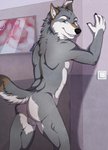 anthro backsack balls butt genitals inside looking_at_viewer male nude smile solo annairu seda canid canine canis mammal wolf 2019 hi_res