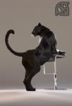 animal_genitalia anthro anus black_body black_fur butt chair female feral fur furniture genitals looking_back pose pussy raised_tail realistic semi-anthro solo stool tail tail_anus whiskers cosmiclife valencia_(cosmiclife) felid jaguar mammal pantherine 3d_(artwork) absurd_res digital_media_(artwork) hi_res pinup