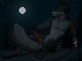 animal_genitalia animal_penis anthro athletic athletic_anthro athletic_male balls black_body black_fur black_hair canine_genitalia canine_penis countershade_balls countershade_face countershade_genitalia countershade_neck countershade_tail countershade_torso countershading erection fur genitals grey_body grey_fur hair knot knotted_penis male male_anthro moon night nude nude_anthro nude_male outside penis pink_penis red_eyes sitting solo star tail wristband i-psilone kal_noven canid canine canis mammal wolf 2018