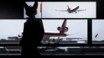 aircraft airplane aviation jet looking_at_viewer male outside pilot silhouette solo vehicle fighterjet top_gear lux_(character) canid canine fox mammal