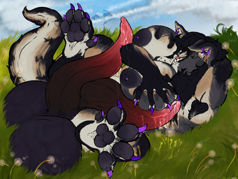 2_penises animal_genitalia animal_penis anthro balls big_balls big_breasts big_penis bodily_fluids breast_grab breast_play breast_squish breasts cetacean_genitalia cetacean_penis ear_piercing feet genital_fluids genitals grass grass_field gynomorph hand_on_breast hindpaw huge_balls huge_penis intersex leaking leaking_penis leaking_precum lying male multi_genitalia multi_penis nipple_piercing nipples on_back pawpads paws penis piercing plant precum solo squish tapering_penis yonnixart border_collie canid canine canis collie domestic_dog elemental_creature flora_fauna herding_dog mammal pastoral_dog sheepdog wolf 4:3 absurd_res hi_res nonbinary_(lore)