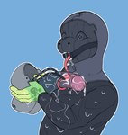 anthro biped bodily_fluids dildo drooling gag huge_dildo male metal_mask nose_tube ring_gag saliva sex_toy slim_anthro slim_male slim_sub solo submissive submissive_anthro submissive_male koofdragon amphibian frog 2024 hi_res