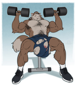 anthro armpit_hair balls balls_outline big_bulge big_muscles biped body_hair bottomwear bulge claws clothing detailed_bulge exercise flaccid footwear fur furry_balls genital_outline genitals hair huge_bulge huge_muscles logo long_hair male male_anthro muscular muscular_anthro muscular_male paws penis penis_outline plantigrade scar shoes shorts sneakers socks solo struggling tail text torn_bottomwear torn_clothing weightlifting weights workout boosterpang canid canine canis mammal wolf 2025 artist_logo english_text hi_res japanese_text