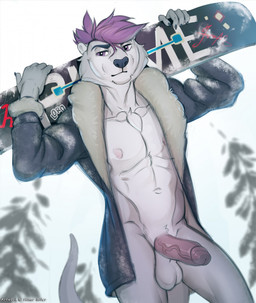 5_fingers anthro areola athletic athletic_anthro athletic_male balls bare_chest biped black_claws black_clothing black_coat black_eyebrows black_nose black_topwear bottomless bottomless_anthro bottomless_male claws clothed clothing coat erection eyebrows fingers fur genitals glans grey_body grey_fur grey_tail hair holding_object humanoid_genitalia humanoid_penis looking_at_viewer male mostly_nude_anthro mostly_nude_male navel nipples open_clothing open_coat open_topwear outside penis plant pose purple_eyes purple_hair snow snowboard solo standing tail topwear tree vein veiny_penis hinar_miler mammal mustelid otter 2019 digital_media_(artwork) hi_res pinup signature