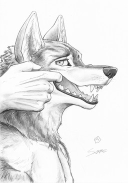 anthro claws ears_up fangs finger_in_mouth fur looking_at_viewer male nude open_mouth side_view simple_background smile smiling_at_viewer solo teeth tongue whisker_spots whiskers white_background some_(someone) canid canine canis mammal wolf absurd_res graphite_(artwork) greyscale hi_res monochrome traditional_media_(artwork)