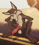 3_toes 4_fingers animal_genitalia animal_penis anthro balls big_feet bodily_fluids canine_genitalia canine_penis cigarette cigarette_in_mouth cigarette_smoke claws cliff crouching day desert erection feet fingers genital_fluids genitals hand_on_leg hand_on_thigh knot leaking_precum light long_snout looking_at_viewer male object_in_mouth outside penis precum presenting presenting_penis road saggy_balls sand smoke snout solo sunlight toes chozogoat looney_tunes warner_brothers wile_e._coyote canid canine canis coyote mammal hi_res
