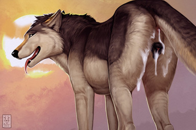 anatomically_correct anatomically_correct_genitalia anatomically_correct_vulva animal_genitalia animal_vulva anus black_nose black_vulva bodily_fluids brown_body brown_eyes brown_fur butt butt_pose canine_genitalia canine_vulva cloud cum cum_drip cum_from_ass cum_from_vagina cum_in_ass cum_in_vagina cum_inside cum_on_butt cum_on_leg digitigrade dog_tail dripping eyebrows female feral fur genital_fluids genitals grey_body grey_fur grey_tail in_heat leaking_cum looking_at_viewer looking_back messy nude open_mouth pink_tongue pose quadruped simple_background solo sun tail tongue tongue_out two_tone_tail vaginal_fluids vulva white_body white_fur white_tail anchee moof canid canine canis mammal wolf 2018