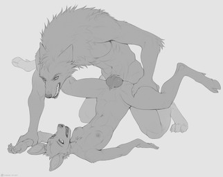 animal_genitalia animal_penis anthro anthro_on_anthro anthro_penetrated anthro_penetrating anthro_penetrating_anthro breasts canine_genitalia canine_penis duo female female_penetrated genitals knot looking_at_another looking_at_partner looking_pleasured male male/female male_penetrating male_penetrating_female nipples penetration penis predator_penetrating_prey sex snarling sobakasatany emerald_(beleynn) kael_(beleynn) canid canine canis deer mammal wolf 2026 absurd_res digital_media_(artwork) hi_res monochrome sketch