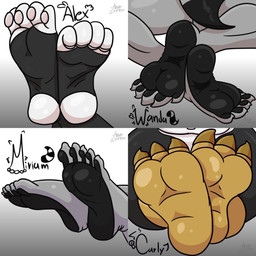 alex_(minusdanna) anthro avian_feet carly_(minusdanna) claws feet female foot_fetish foot_focus group pawpads paws slightly_chubby soles wanda_(minusdanna) minusdanna miriam_(minusdanna) avian bird lagomorph leporid mammal penguin procyonid rabbit raccoon 1:1 absurd_res hi_res