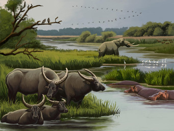 branch brown_body brown_fur feral flying forest fur grey_body grey_skin group herd horn marshes partially_submerged perching plant proboscis_(anatomy) river river_delta tree trunk_(anatomy) tusks wetlands agustindiazart ambient_bird common_hippopotamus elephantid european_water_buffalo hippopotamid mammal palaeoloxodon prehistoric_species proboscidean 2026 4:3