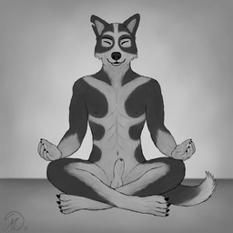 abs animal_genitalia anthro balls black_body black_fur claws crossed_legs eyes_closed finger_claws fur fur_markings genitals grey_body grey_fur male markings meditation muscle_tone notched_ear sheath sitting sitting_on_ground solo toe_claws maklykan mak_lykan canid canine canis mammal wolf 1:1 absurd_res greyscale hi_res monochrome