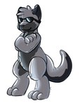 anthro black_body black_nose countershading crossed_arms digitigrade eyewear grey_body inflatable looking_at_viewer male notched_ear pool_toy reverse_countershading simple_background smile solo sunglasses tail tallarra arturo_wolff animate_inanimate canid canine canis living_inflatable mammal wolf