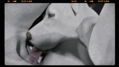 69_position anatomically_correct anatomically_correct_genitalia anatomically_correct_penis animal_genitalia animal_penis camera canine_genitalia canine_penis deep_throat erection fellatio feral feral_on_feral feral_penetrated feral_penetrating feral_penetrating_feral genitals group group_sex male male/male male_on_bottom male_on_top male_penetrated male_penetrating male_penetrating_male on_bottom on_top oral oral_only oral_penetration penetration penile penile_penetration penis realistic_feral sex young trioami260 canid canine canis domestic_dog hunting_dog jack_russell_terrier mammal terrier 16:9 2020 3d_(artwork) 3d_animation animated digital_media_(artwork) loop widescreen