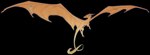 balls claws erection feral finger_claws flying fur genitals gradient_body long_neck long_tail male membrane_(anatomy) membranous_wings orange_body penis simple_background solo spread_wings tail toe_claws transparent_background wing_claws wings twilightsaint european_mythology mythology dragon furred_dragon furred_scalie mythological_creature mythological_scalie scalie western_dragon alpha_channel digital_drawing_(artwork) digital_media_(artwork) hi_res