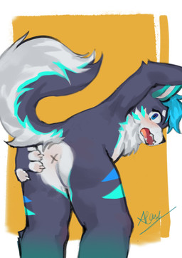 anthro anus bending_down biped black_body black_fur blue_eyes blue_hair blush fur hair kemono looking_at_viewer male nude_anthro nude_male open_mouth shota slim_anthro slim_male solo white_body white_fur x_anus young young_anthro young_male fur_alasky canid canine canis domestic_dog husky mammal nordic_sled_dog spitz 2025 absurd_res hi_res