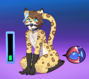anal anal_penetration anthro ball_gag biped black_markings black_nose bodily_fluids brown_hair buttplug buttplug_in_ass buttplug_insertion buttplug_vibrator claws collar_tag countershade_face countershade_torso countershading cutaway dipstick_ears drooling ear_markings eyebrows femboy fur gag gagged gloves_(marking) grey_highlights hair highlights_(coloring) internal internal_anal kneeling leg_markings leopard_spots male markings multicolored_ears navel nipples nude object_in_ass pawpads penetration plug_(sex_toy) plug_insertion saliva sex_toy sex_toy_in_ass sex_toy_insertion short_hair simple_background socks_(marking) solo sparkles sparkling_eyes spots spotted_body spotted_fur tail tail_motion tailwag tan_body tan_fur teeth tongue tongue_out vibrator vibrator_in_ass white_body white_countershading white_fur somik tayga felid leopard mammal pantherine 2026 2d_animation animated