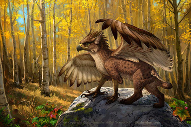 ambiguous_gender aspen_tree beak berry brown_body brown_fur detailed_background feathers feet feral food forest fruit fur grass green_eyes leaf looking_at_viewer multicolored_body outside paws plant quadruped realistic short_tail sky solo standing_on_rock tail talons toes tree two_tone_body wings nambroth mythology avian felid feline gryphon gryphonification hybrid lynx mammal mythological_avian mythological_creature 2024 3:2 detailed digital_media_(artwork) digital_painting_(artwork) painting_(artwork) watermark