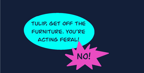 argument comic_panel dialogue not_furry offscreen_character simple_background speech_bubble text yelling zero_pictured vanilla_candy unicorn_blood_(comic) comic english_text restricted_palette