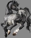 anus black_anus black_body black_fur black_mane black_pussy black_teats female feral fur genitals hooves mane presenting presenting_anus presenting_pussy pussy raised_tail solo tail teats white_body white_fur yellow_eyes venlightchaser equid equine horse mammal hi_res
