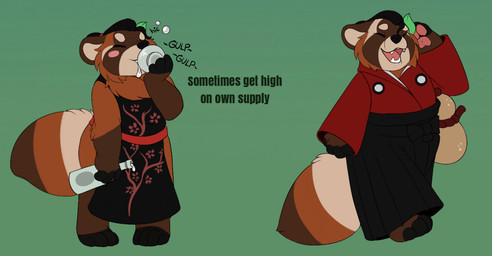 alcohol anthro apron apron_only asian_clothing beverage biped black_hair black_nose blush bottle brown_body brown_fur chibi clothed clothed_anthro clothed_male clothing container drinking_alcohol drinking_sake drunk east_asian_clothing eyes_closed facial_markings fangs fluffy fluffy_tail fur gloves_(marking) green_background hair head_markings hiccuping holding_bottle holding_container holding_object japanese_clothing kimono leaf leg_markings male markings neck_tuft open_mouth pawpads red_clothing red_kimono sake sake_bottle sake_dish simple_background smile socks_(marking) solo standing substance_intoxication tail tanuki_leaf teeth text tongue tuft walking kindreddemon naoki_(kazukio) canid canine mammal raccoon_dog tanuki 2021 digital_drawing_(artwork) digital_media_(artwork) english_description english_text model_sheet