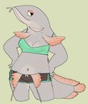 anthro barbel_(anatomy) belly_overhang bottomwear clothing eyelashes female fin fish_tail gills green_clothing green_topwear grey_body half-closed_eyes hotpants mouth_closed narrowed_eyes navel navel_piercing nipples_visible_through_clothing piercing pink_body pink_scales profile scales shorts simple_background solo tail tail_fin topwear kewpiekills mermay mermay_2023 arowana fish marine 2023 hi_res signature