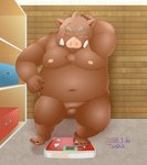 2019 anthro balls belly blush brown_body brown_fur fur genitals humanoid_hands kemono male mammal moobs navel nipples overweight overweight_anthro overweight_male scar solo suid suina sus_(pig) toshi_(artist) wild_boar