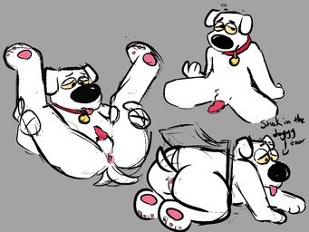 anthro anthro_penetrated anus collar duo genitals male male/male penetration penis presenting presenting_anus stuck_in_door tail tail_motion tailwag poprocks-coke family_guy brian_griffin canid canine canis domestic_dog mammal 4:3