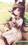 bench brown_hair clothed clothing dress female food hair holding_food holding_object looking_at_viewer onigiri outside purple_eyes rice sitting smile solo sakura_ani cygames uma_musume_pretty_derby rice_shower_(pretty_derby) animal_humanoid equid equid_humanoid equine equine_humanoid horse_humanoid humanoid mammal mammal_humanoid 2021 hi_res