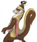 bedroom_eyes collar half-closed_eyes looking_at_viewer male narrowed_eyes seductive smile smirk solo tail teasing towel towel_on_shoulder avoid_posting conditional_dnp razbuckner raz_ferroo domestic_ferret mammal mustelid musteline true_musteline weasel