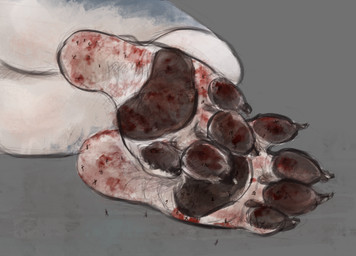 ambiguous_gender anthro blood bodily_fluids crush dominant dominant_female feet female foot_fetish foot_focus gore gore_focus group macro micro paws sadism size_difference toes worship ozdra anna_morozova canid canine canis domestic_dog husky mammal nordic_sled_dog spitz hi_res