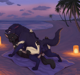 animal_genitalia animal_penis animal_vulva anus balls beach beach_towel black_anus black_body black_fur black_pawpads black_vulva blue_balls candle canine_genitalia canine_penis canine_vulva clenched_teeth dark_body dark_fur detailed_background duo face_to_face female female_penetrated feral feral_on_feral feral_penetrated feral_penetrating feral_penetrating_feral from_front_position fur genitals grey_body grey_fur knotting lying male male/female male_penetrating male_penetrating_female missionary_position on_back outside palm_tree pawpads paws penetration penis plant red_penis romantic seaside sex sunset teeth towel tree vaginal vaginal_knotting vaginal_penetration vulva white_body white_fur devilenby helena_(kyurgan) canid canine canis domestic_dog german_shepherd herding_dog mammal pastoral_dog wolf absurd_res hi_res