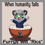 anthro blue_clothing blue_shirt blue_topwear bowl chibi circle_eyebrows clothing container eyebrows featureless_hands food footprint green_eyes looking_at_viewer male markings partially_submerged pawprint pawprint_(marking) rice shirt solo surprise text topwear netiscraft bear giant_panda mammal 1:1 english_text hi_res meme