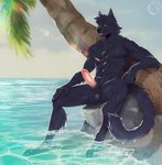 abs anthro ball_tuft balls black_balls black_body black_claws black_fur black_hair black_nose black_tail claws day digital_media_(artwork) erection feet_in_water felid fingers fur genitals glans hair hi_res humanoid_genitalia humanoid_penis jewelry leaning_against_tree looking_at_viewer male mammal necklace nerton nude orange_eyes outside palm_tree partially_submerged pecs penis pink_glans pink_penis plant sea seaside sitting sky solo tail teeth tree tropical tuft vein veiny_penis water whiskers white_whiskers