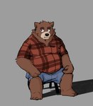 anthro black_nose bottomwear brown_body brown_fur clothing fur male overweight overweight_male shirt shorts simple_background sitting solo topwear gr_thegreat password_(visual_novel) dean_(password) bear mammal 2024 absurd_res hi_res