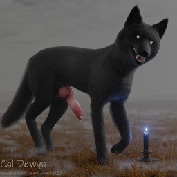animal_genitalia animal_penis balls black_balls black_body black_fur black_nose black_tail bodily_fluids canine_genitalia canine_penis erection feral fur genital_fluids genitals knot knotted_penis male penis precum sheath solo tail white_eyes cal_dewyn canid canine canis domestic_dog mammal 1:1 3d_(artwork) digital_media_(artwork) hi_res