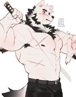 5_fingers anthro claws clothed clothing dipstick_tail eyebrows facial_scar fingers fur katana male markings melee_weapon muscular muscular_anthro muscular_male scar solo sword tail tail_markings topless topless_anthro topless_male weapon white_body white_fur hemuchang canid canine mammal hi_res