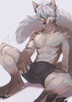 anthro biped brown_body brown_fur bulge claws clothed clothing countershade_face countershade_fur countershade_torso countershading fingers fur hair kemono male solo tail tongue tongue_out topless topless_anthro topless_male akiya-kamikawa canid canine mammal 2024 hi_res