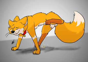 anatomically_correct anatomically_correct_genitalia animal_genitalia balls balls_blush big_tail blush bodily_fluids body_blush canine_genitalia collar detached_sheath digitigrade feet feral fully_sheathed fur genital_fluids genitals hiked_leg hindpaw looking_pleasured male male_feral male_peeing marking_territory markings nipples orange_body pawpads paws peeing quadruped raised_leg raised_paw relieved sheath simple_background smile solo tail tan_body tan_fur urine urine_stream watersports whiskers y_sheath_opening raposanaranja chris_(raposanaranja) canid canine canis fox mammal absurd_res hi_res